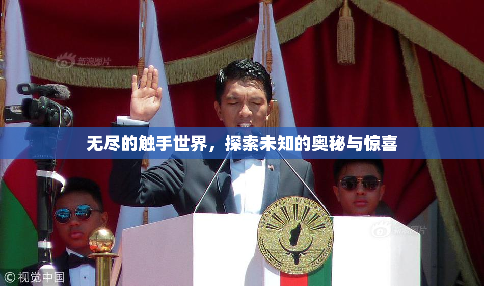 无尽的触手世界，探索未知的奥秘与惊喜