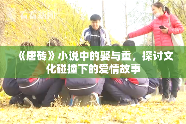 《唐砖》小说中的娶与重，探讨文化碰撞下的爱情故事