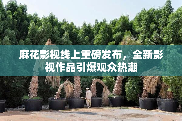 麻花影视线上重磅发布，全新影视作品引爆观众热潮