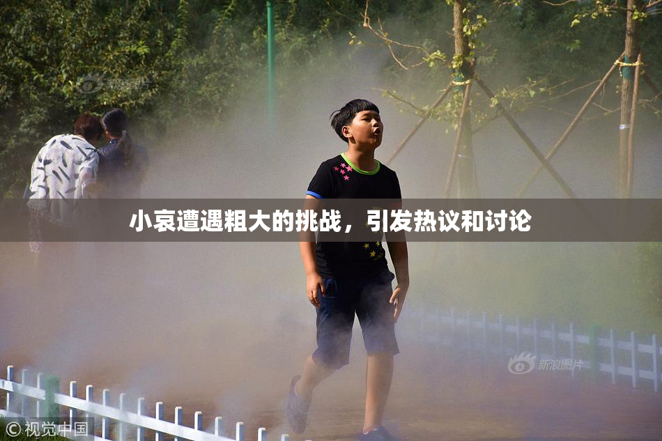 小哀遭遇粗大的挑战，引发热议和讨论