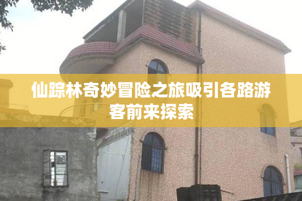 仙踪林奇妙冒险之旅吸引各路游客前来探索