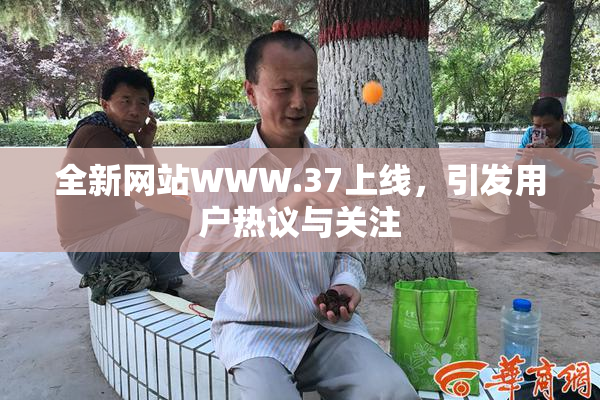 全新网站WWW.37上线，引发用户热议与关注