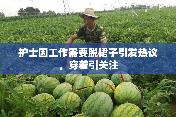护士因工作需要脱裙子引发热议，穿着引关注