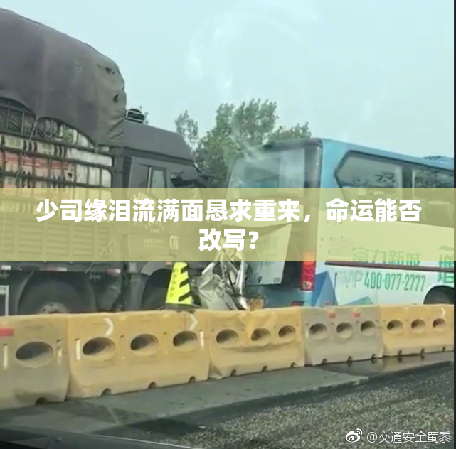 少司缘泪流满面恳求重来，命运能否改写？