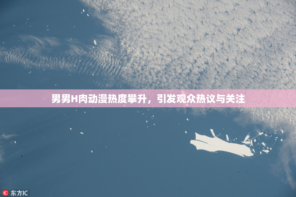 男男H肉动漫热度攀升，引发观众热议与关注