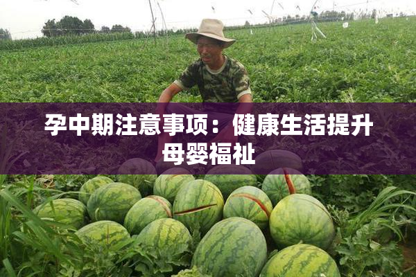 孕中期注意事项：健康生活提升母婴福祉