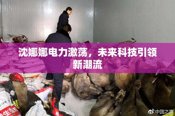 沈娜娜电力激荡，未来科技引领新潮流