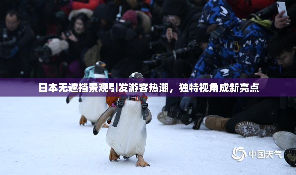 日本无遮挡景观引发游客热潮，独特视角成新亮点