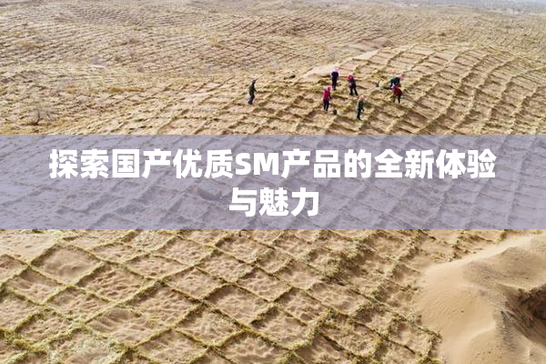 探索国产优质SM产品的全新体验与魅力