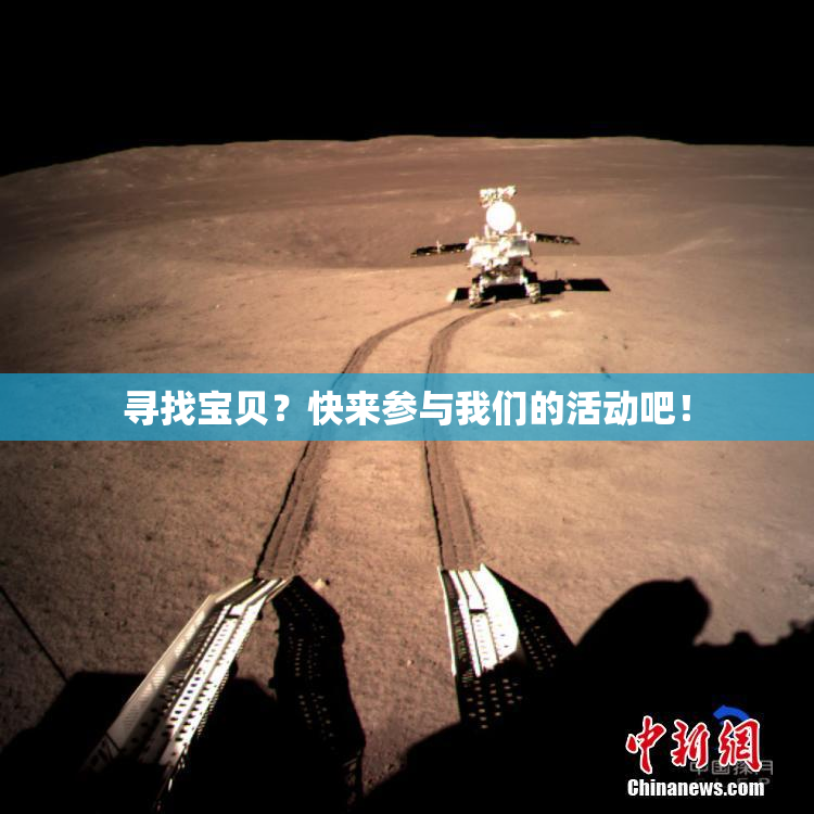 寻找宝贝？快来参与我们的活动吧！