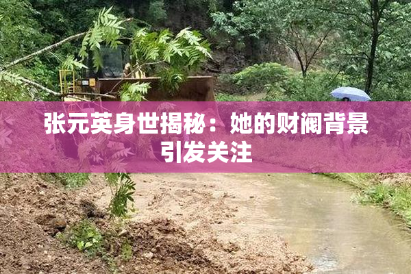 张元英身世揭秘：她的财阀背景引发关注