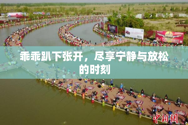 乖乖趴下张开，尽享宁静与放松的时刻