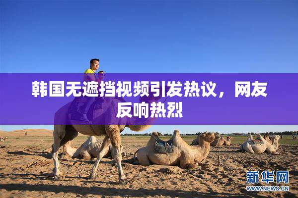 韩国无遮挡视频引发热议，网友反响热烈
