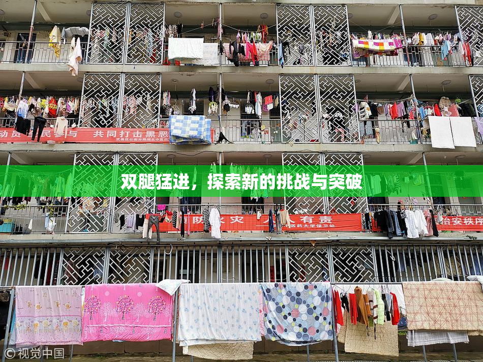 双腿猛进，探索新的挑战与突破