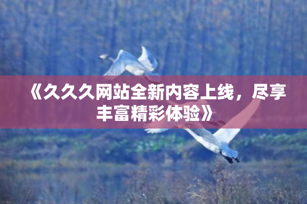 《久久久网站全新内容上线，尽享丰富精彩体验》