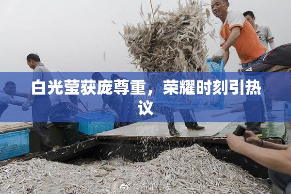 白光莹获庞尊重，荣耀时刻引热议