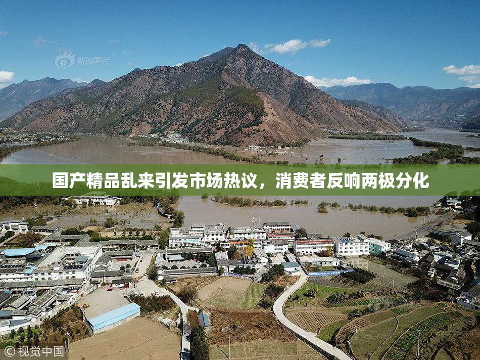 国产精品乱来引发市场热议，消费者反响两极分化