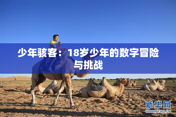 少年骇客：18岁少年的数字冒险与挑战