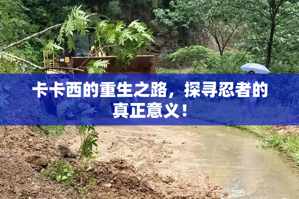 卡卡西的重生之路，探寻忍者的真正意义！