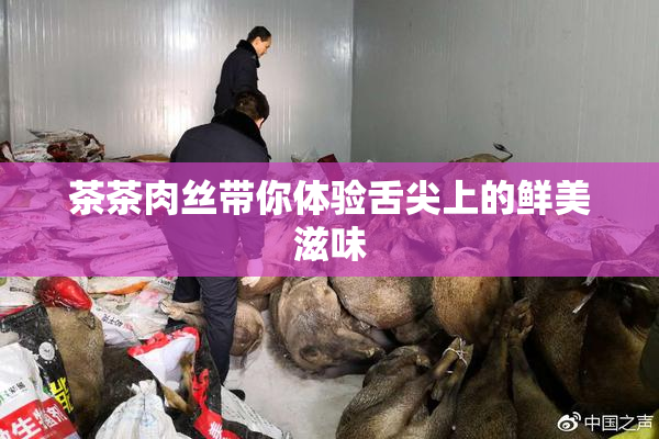 茶茶肉丝带你体验舌尖上的鲜美滋味