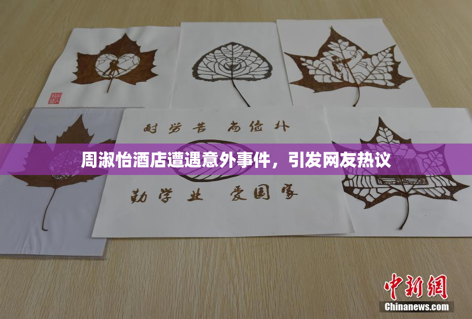 周淑怡酒店遭遇意外事件，引发网友热议