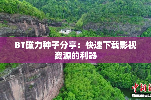 BT磁力种子分享：快速下载影视资源的利器