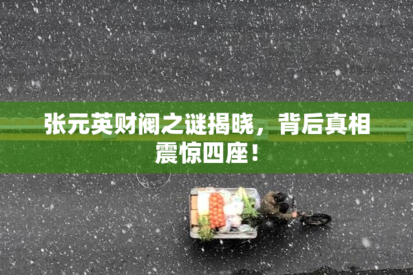 张元英财阀之谜揭晓，背后真相震惊四座！