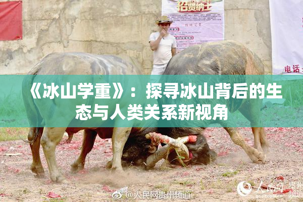 《冰山学重》：探寻冰山背后的生态与人类关系新视角
