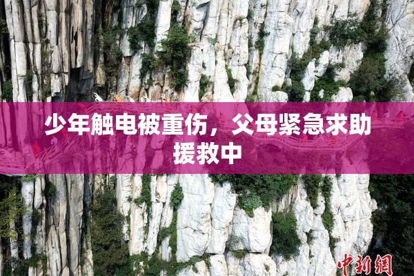少年触电被重伤，父母紧急求助援救中