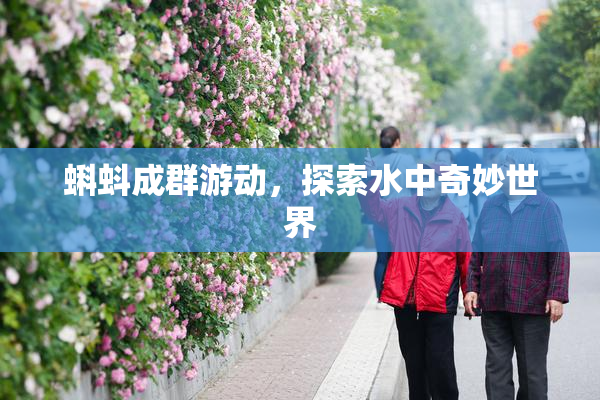 蝌蚪成群游动，探索水中奇妙世界