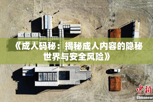《成人码秘：揭秘成人内容的隐秘世界与安全风险》