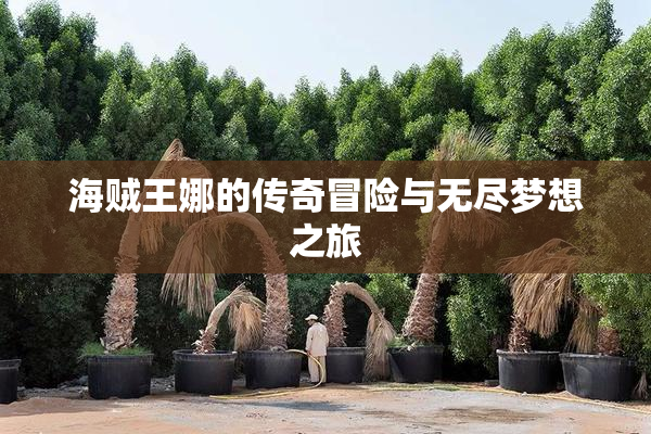 海贼王娜的传奇冒险与无尽梦想之旅