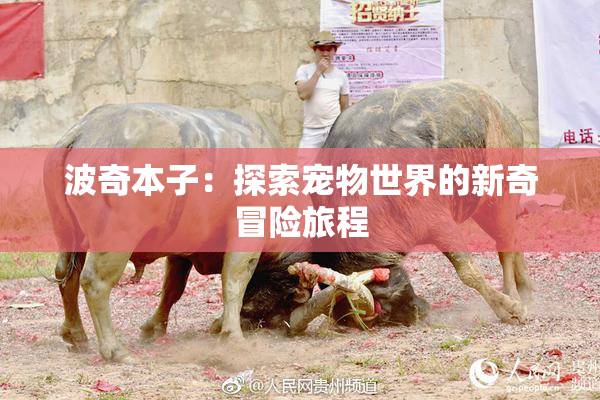 波奇本子：探索宠物世界的新奇冒险旅程