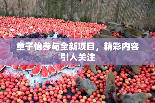章子怡参与全新项目，精彩内容引人关注