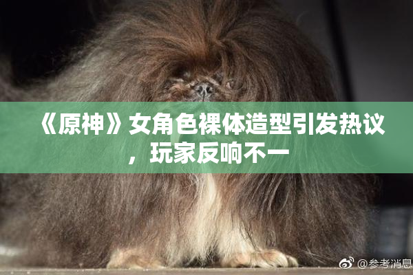 《原神》女角色裸体造型引发热议，玩家反响不一