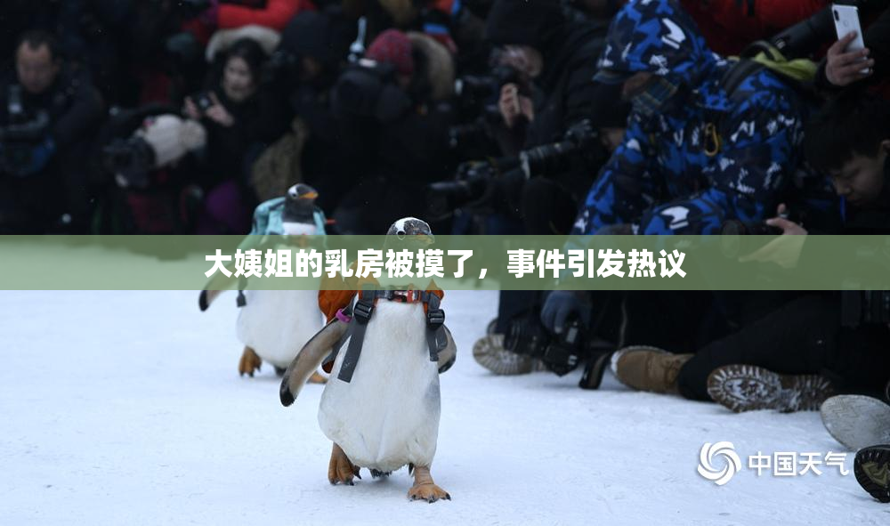大姨姐的乳房被摸了，事件引发热议