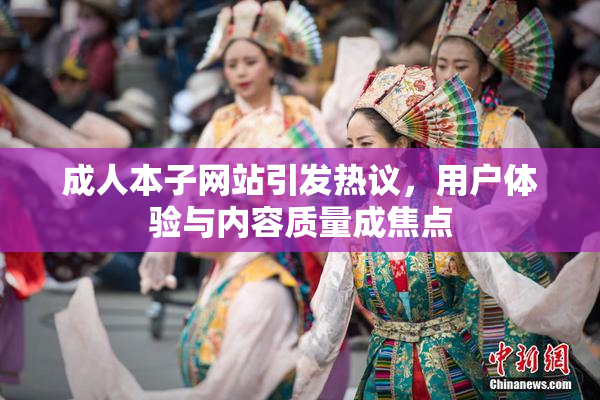 成人本子网站引发热议，用户体验与内容质量成焦点