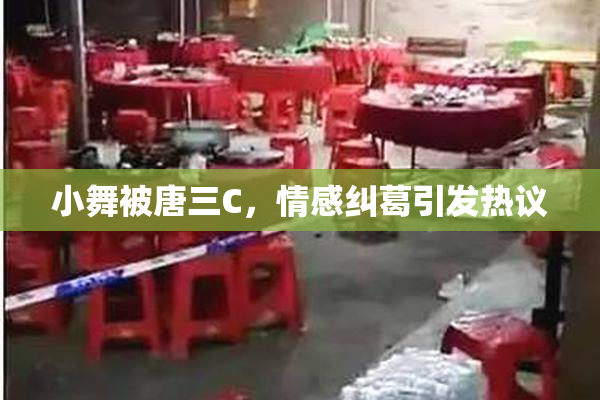小舞被唐三C，情感纠葛引发热议