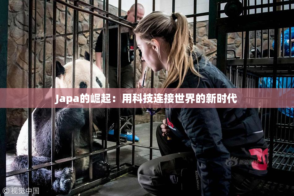 Japa的崛起：用科技连接世界的新时代