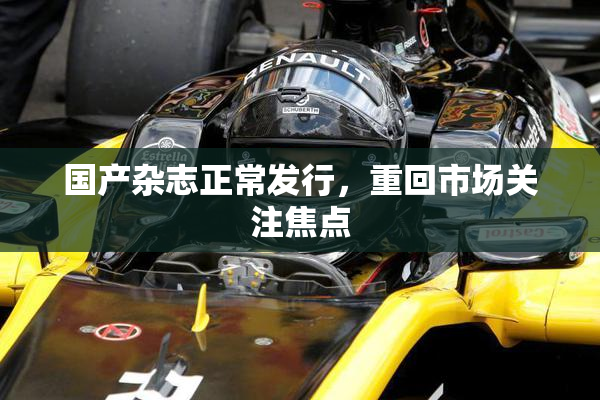 国产杂志正常发行，重回市场关注焦点