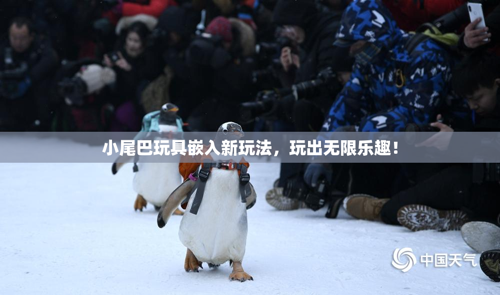 小尾巴玩具嵌入新玩法，玩出无限乐趣！