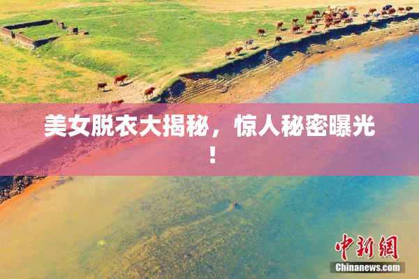 美女脱衣大揭秘，惊人秘密曝光！