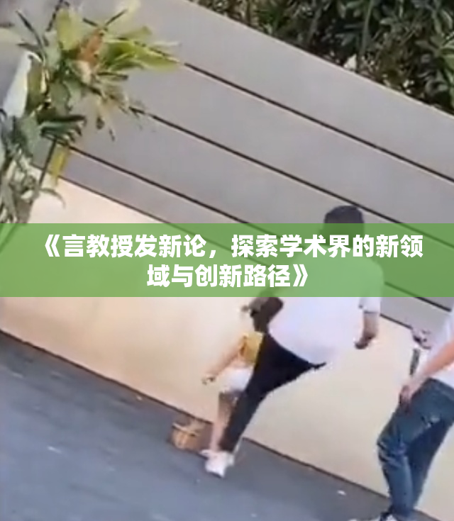 《言教授发新论，探索学术界的新领域与创新路径》