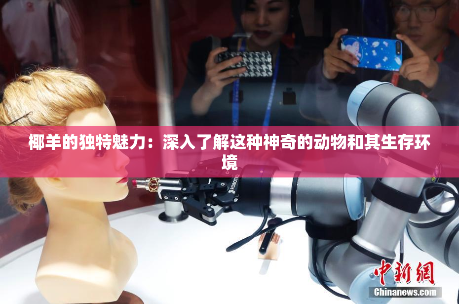 椰羊的独特魅力：深入了解这种神奇的动物和其生存环境