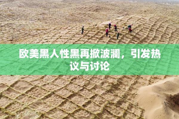 欧美黑人性黑再掀波澜，引发热议与讨论