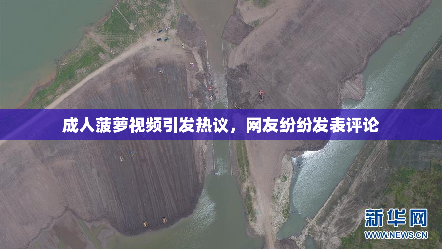 成人菠萝视频引发热议，网友纷纷发表评论