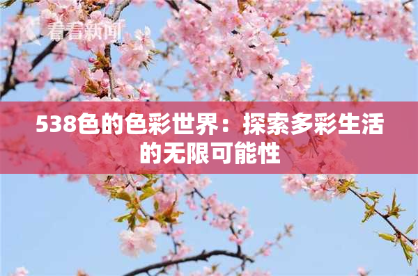 538色的色彩世界：探索多彩生活的无限可能性