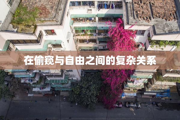 在偷窥与自由之间的复杂关系