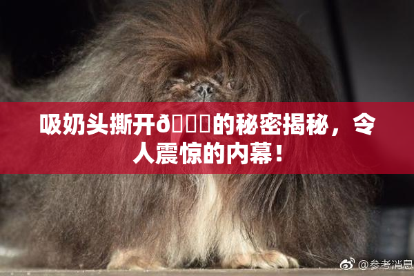 吸奶头撕开👙的秘密揭秘，令人震惊的内幕！
