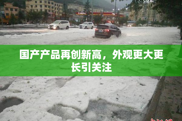 国产产品再创新高，外观更大更长引关注